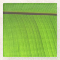 Gros plan de la feuille de banane