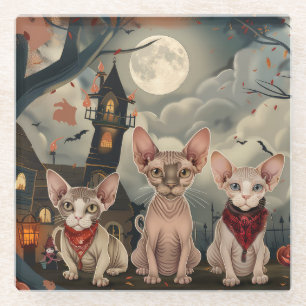 Dessous-de-verre En Verre Halloween sphynx chats Éffrayant