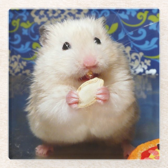 Dessous-de-verre En Verre Hamster syrien en mousse Kokolinka (Devant)