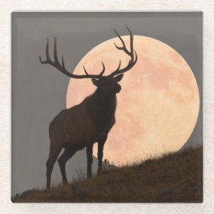Dessous-de-verre En Verre Hausse majestueuse d'élans et de Pleine lune de