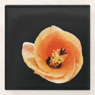 Dessous-de-verre En Verre Hibiscus
