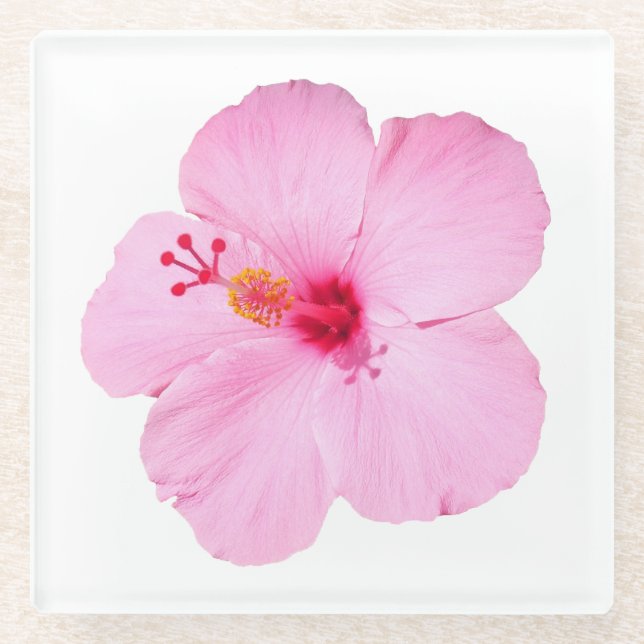 Dessous-de-verre En Verre Hibiscus rose Fleur tropicale (Devant)