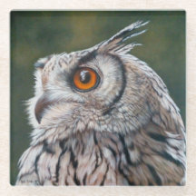Hibou sage 