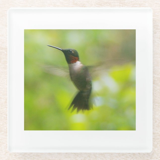 Dessous-de-verre En Verre Homme Ruby Throat Hummingbird (Devant)
