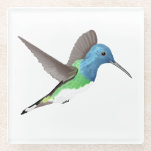 Dessous-de-verre En Verre Hovering Jacobin Hummingbird - transparent.