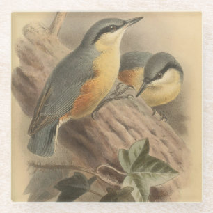 Dessous-de-verre En Verre Illustration vintage de Nuthatch