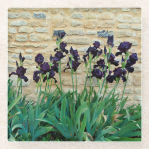 Dessous-de-verre En Verre Iris à poils