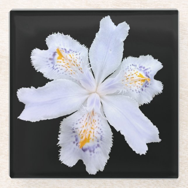 Dessous-de-verre En Verre Iris blanc (Devant)