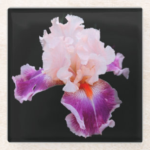 Dessous-de-verre En Verre Iris mauve et rose