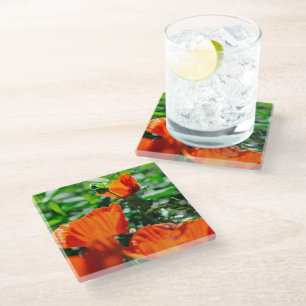Dessous-de-verre En Verre Jardin stylisé Rouge Orange Fleurs de pavot