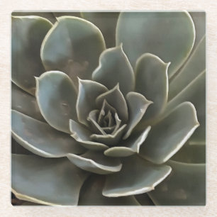 Dessous-de-verre En Verre Jardin Succulent Vert Gris Tons Art Réaliste
