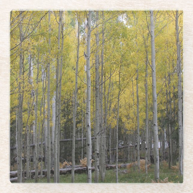 Dessous-de-verre En Verre Jaune d'Aspen (Devant)