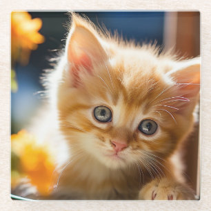 Dessous-de-verre En Verre Joli chaton tabby orange 