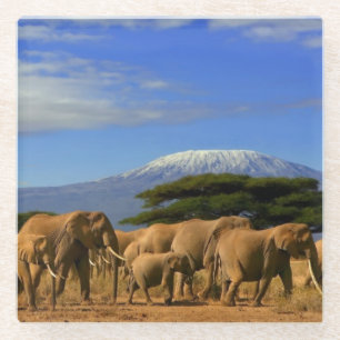 Dessous-de-verre En Verre Kilimanjaro et éléphants