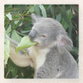 Dessous-de-verre En Verre Koala Manger Gum Leaf