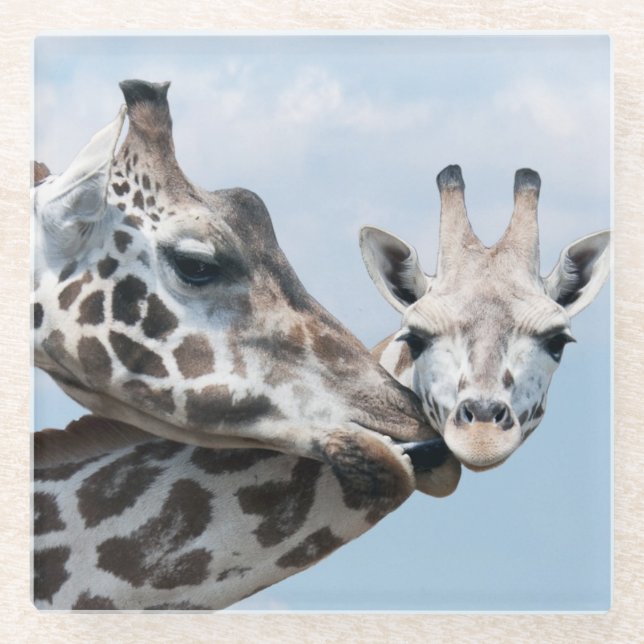 Dessous-de-verre En Verre La girafe embrasse son veau (Devant)