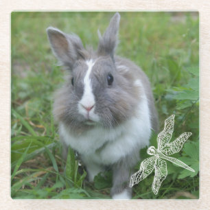 Dessous-de-verre En Verre Lapin lapin