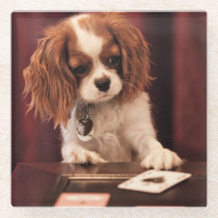 Dessous-de-verre En Verre Le chiot joue aux cartes