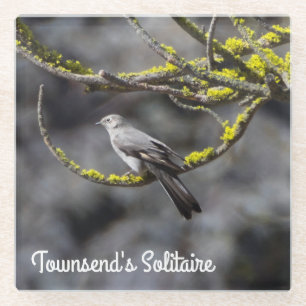 Dessous-de-verre En Verre Le Solitaire de Townsend