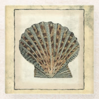 Les Créatures marines au bord de l'eau