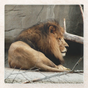 Dessous-de-verre En Verre Lion