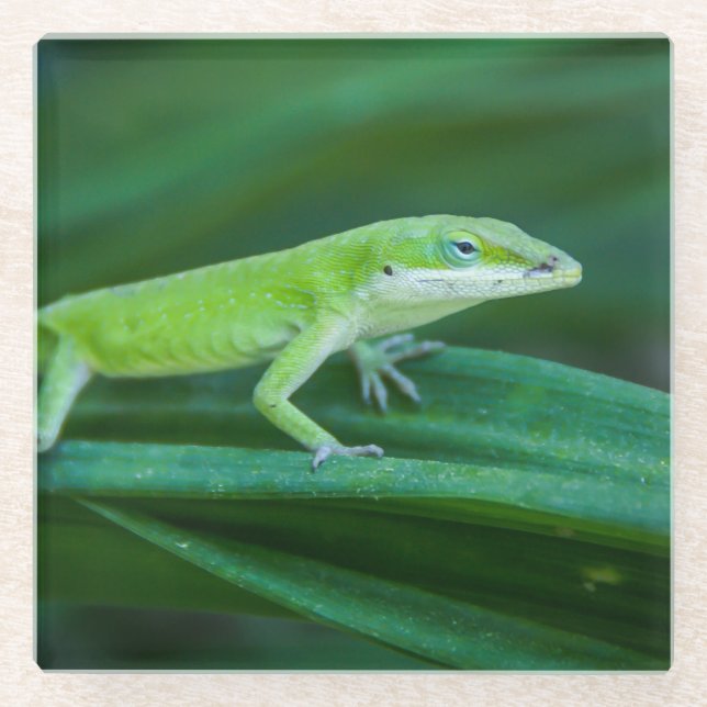 Dessous-de-verre En Verre Lizard d'Anole Verte (Devant)