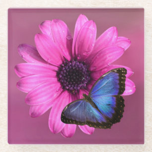 Dessous-de-verre En Verre Maisy et papillon