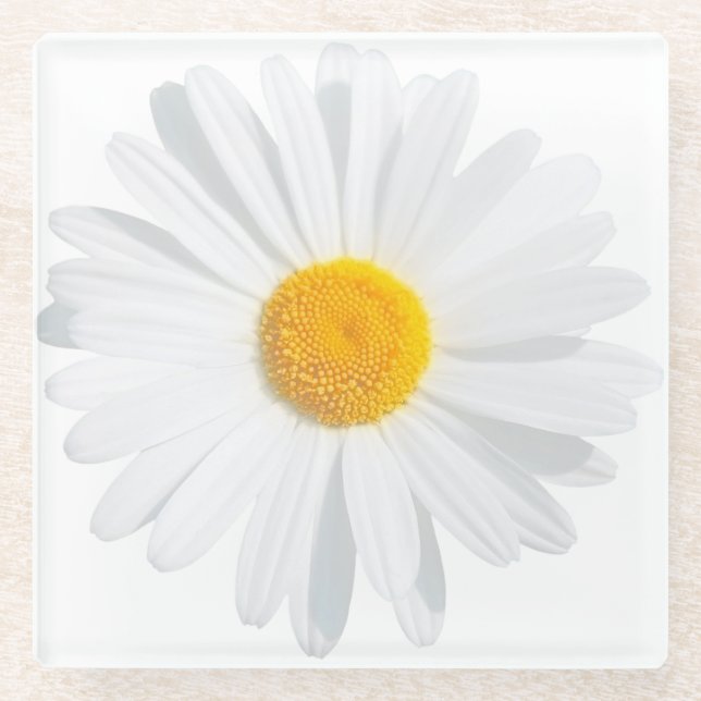 Dessous-de-verre En Verre marguerite blanche (Devant)