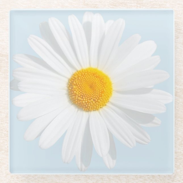 Dessous-de-verre En Verre marguerite blanche (Devant)