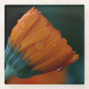 Dessous-de-verre En Verre Marigold orange