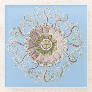 Dessous-de-verre En Verre Méduse rose nautique d'Ernst Haeckel