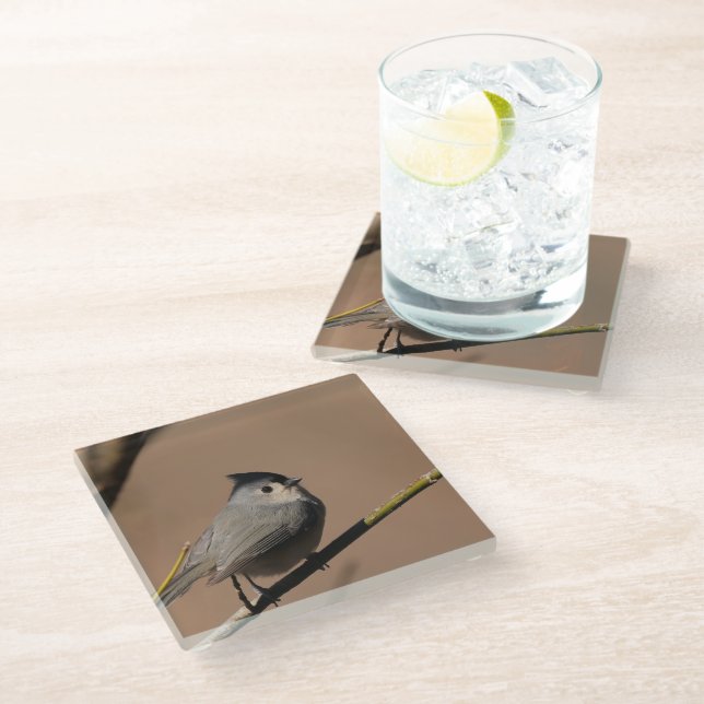 Dessous-de-verre En Verre Mésange_Coaster (Incliné)