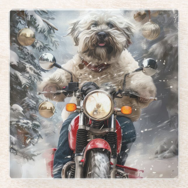 Dessous-de-verre En Verre Moto à chiens Havanais Noël (Devant)