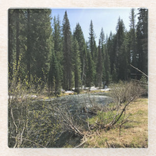 Dessous-de-verre En Verre Muir Creek, Oregon