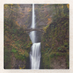 Dessous-de-verre En Verre Multnomah tombe en défunt automne