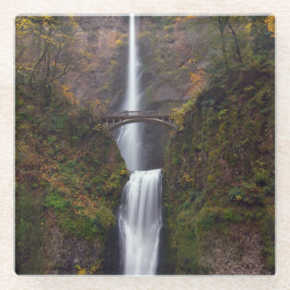 Dessous-de-verre En Verre Multnomah tombe en défunt automne
