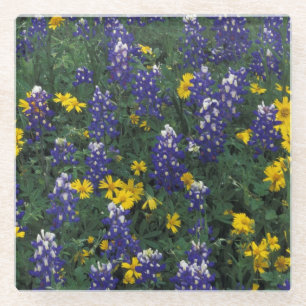 Dessous-de-verre En Verre N.A., États-Unis, Texas, Marble Falls, Blue Bonne