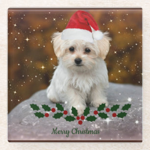 Dessous-de-verre En Verre Noël des chiots maltais