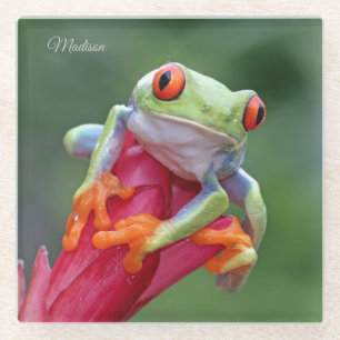Dessous-de-verre En Verre Nom personnalisé Frog