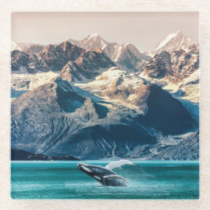 Dessous-de-verre En Verre Observation des baleines de l'Alaska : excursion e