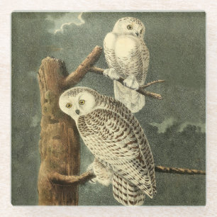 Dessous-de-verre En Verre OEuvre d'OEuf Audubon