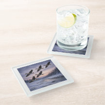 Oies en migration en hiver