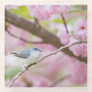 Dessous-de-verre En Verre Oiseau dans l'arbre en fleurs