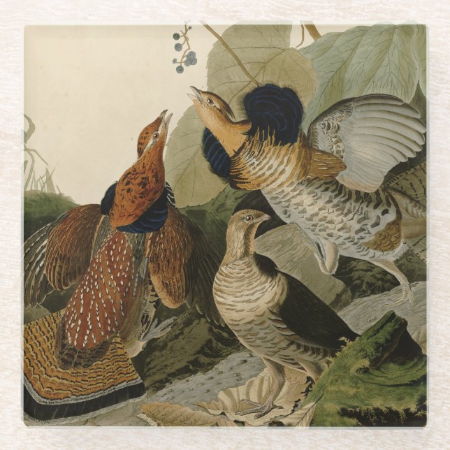 Dessous-de-verre En Verre Oiseau de gibier Audubon (Devant)
