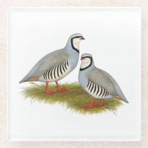 Dessous-de-verre En Verre Paire de perdrix de Chukar