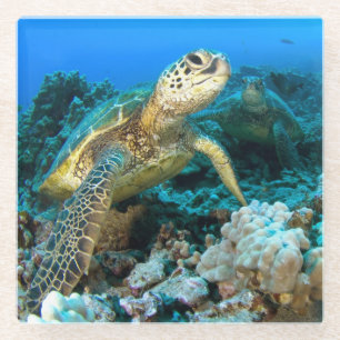 Dessous-de-verre En Verre Paires de tortue