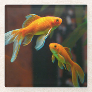 Dessous-de-verre En Verre Paires du poisson rouge chanceux