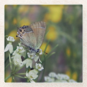 Dessous-de-verre En Verre Papillon skipper sur une fleur