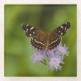 Dessous-de-verre En Verre papillon texan Crescent