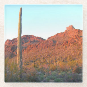 Dessous-de-verre En Verre Parc national de Saguaro